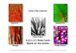 Note Cards - Image 8